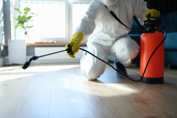 Reliable Hoarding Cleanup contractor in Long Beach, CA by Dulley Family Biohazard Services